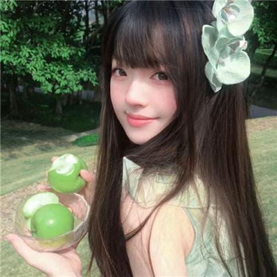 森林